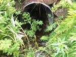 Culvert Crossing, Patty Creek, Kennebunkport, Maine