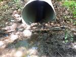 Culvert Crossing, Saco, Maine