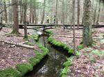 Bridge Crossing, Saco, Maine