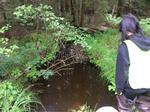 Multiple Culvert Crossing, Saco, Maine