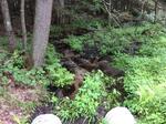 Multiple Culvert Crossing, Saco, Maine