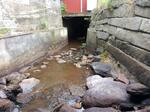 Culvert Crossing, Dexter, Maine