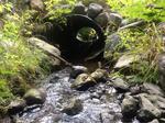 Culvert Crossing, Days Academy Grant Twp, Maine