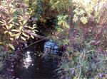 Culvert Crossing, Trib To Hamilton Branch, Waterboro, Maine