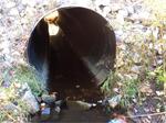Culvert Crossing, Trib To Hamilton Branch, Waterboro, Maine