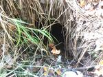 Culvert Crossing, South Berwick, Maine