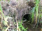 Culvert Crossing, South Berwick, Maine