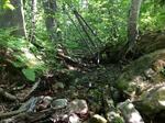 Culvert Crossing, Rumford, Maine