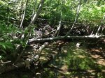 Culvert Crossing, Oakland, Maine