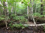 Multiple Culvert Crossing, Weld, Maine