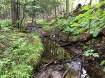 Multiple Culvert Crossing, Weld, Maine
