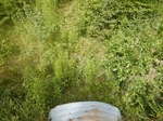Culvert Crossing, Caswell, Maine