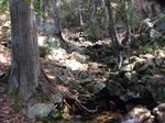 Culvert Crossing, Mount Desert, Maine