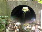 Culvert Crossing, Mason Twp, Maine