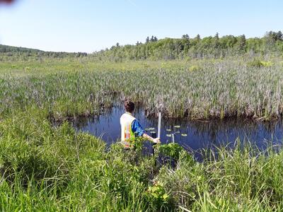 image preview