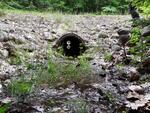 Culvert Crossing, Fayette, Maine