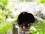 Culvert Crossing, Vienna, Maine