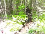 Culvert Crossing, Vienna, Maine
