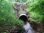 Culvert Crossing, Wayne, Maine