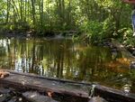 Picnic Pond Dam Crossing, Brunswick, Maine