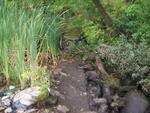 Swetts Pond Dam Crossing, Swetts Pond Stream, Orrington, Maine