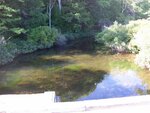 Brewer Lake Dam Crossing, Sedgeunkedunk Stream, Orrington, Maine