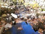 Mill Stream Log Dam Crossing, Mill Stream, Dedham, Maine