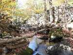Mill Stream Log Dam Crossing, Mill Stream, Dedham, Maine