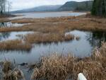 Stowers Meadow Dam Crossing, Tr-penobscot River, Stockton Springs, Maine