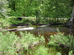 Unnamed Schoodic Lake Trib Dam Crossing, Unnamed Waterbody, Brownville, Maine
