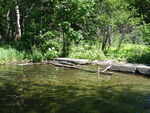Bennett Pond Dam Crossing, Gales Brook, Parkman, Maine