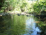 Davee Brook #1 Crossing, Davee Brook, Dover-Foxcroft, Maine