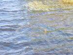 Unnamed Eagle Stream Trib Dam Crossing, Unnamed Waterbody, Greenville, Maine