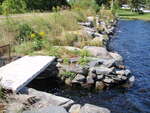 Unnamed Eagle Stream Trib Dam Crossing, Unnamed Waterbody, Greenville, Maine