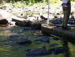 Temple Mill Dam Crossing, Souadabscook Stream, Hampden, Maine