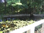 Wiley Pond Dam Crossing, Boothbay, Maine