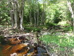 Dearborn Brook Dam Crossing, Windsor, Maine