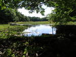 Dearborn Brook Dam Crossing, Windsor, Maine