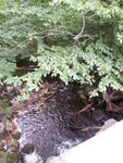 Patte Brook Dam Crossing, Patte Brook, Albany Twp, Maine