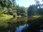 Unnamed Frost Gully Bk Trib Dam Crossing, Frost Gully Brook, Freeport, Maine