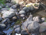 Unnamed Crossing, Merrill Brook, Freeport, Maine