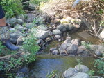 Unnamed Crossing, Merrill Brook, Freeport, Maine