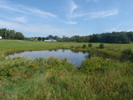 Unnamed Crossing, Unnamed Waterbody, Freeport, Maine