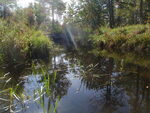 Unnamed Crossing, Florida Lake, Freeport, Maine