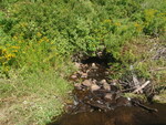Unnamed Crossing, Wilson pond, Harpswell, Maine