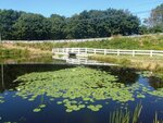 Unnamed Crossing, Wilson pond, Harpswell, Maine