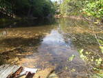 Lambert Point Trib Dam Crossing, Unnamed Waterbody, Freeport, Maine