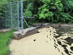 Pleasant Pond Dam Crossing, Mill Brook, Casco, Maine