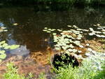 Unnamed Crossing, Unnamed Waterbody, Albany Twp, Maine