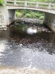 Bog Dam Crossing, Stevens Brook, Bridgton, Maine